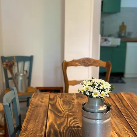 Bulle 1 New 2025 Center *