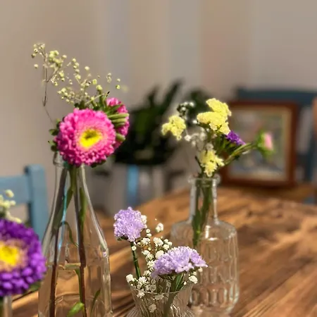 Bulle 1 New 2025 Center Épernay