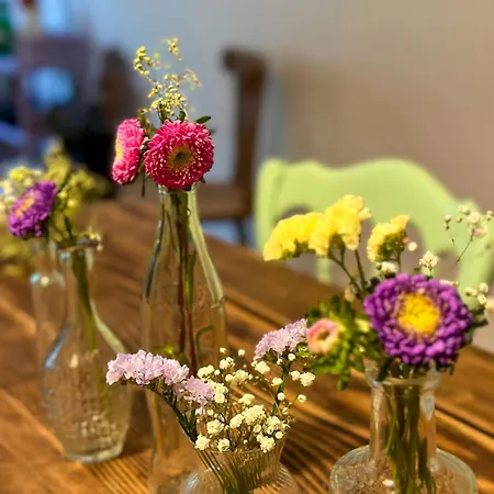 Bulle 1 New 2025 Center Épernay