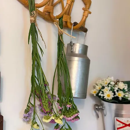 Apartmán Bulle 1 New 2025 Center