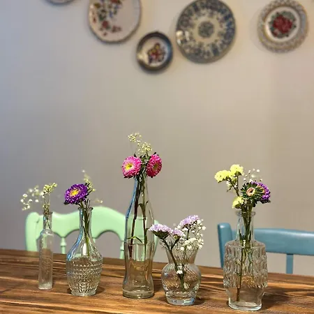 Bulle 1 New 2025 Center