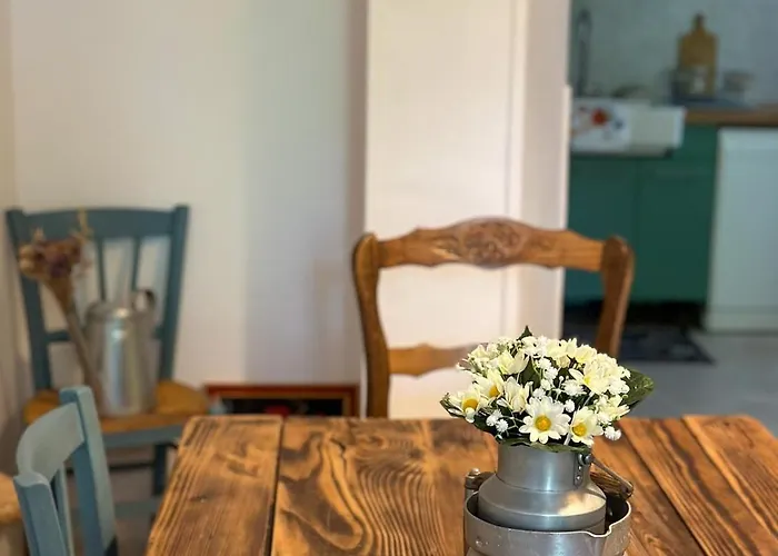 Bulle 1 New 2025 Center *