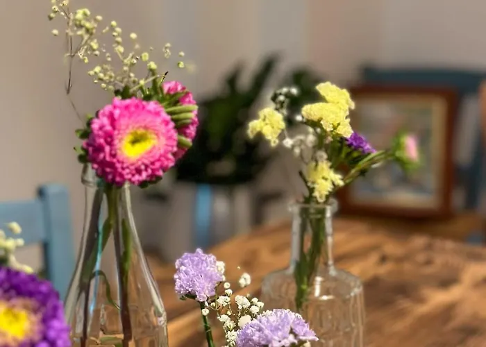 Bulle 1 New 2025 Center Épernay