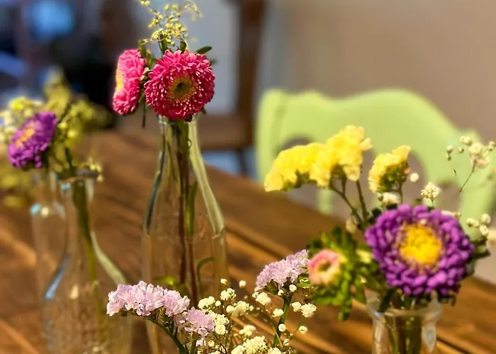 Bulle 1 New 2025 Center Épernay