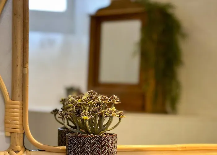 Bulle 1 New 2025 Center * Épernay