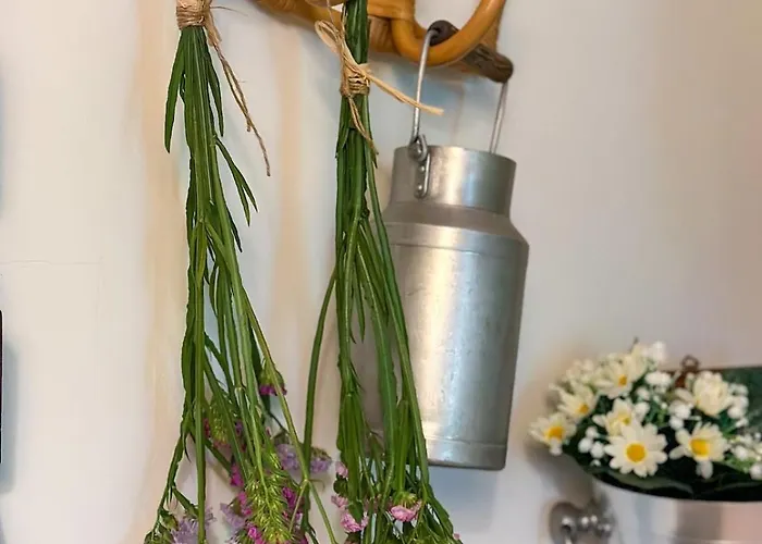 Apartmán Bulle 1 New 2025 Center